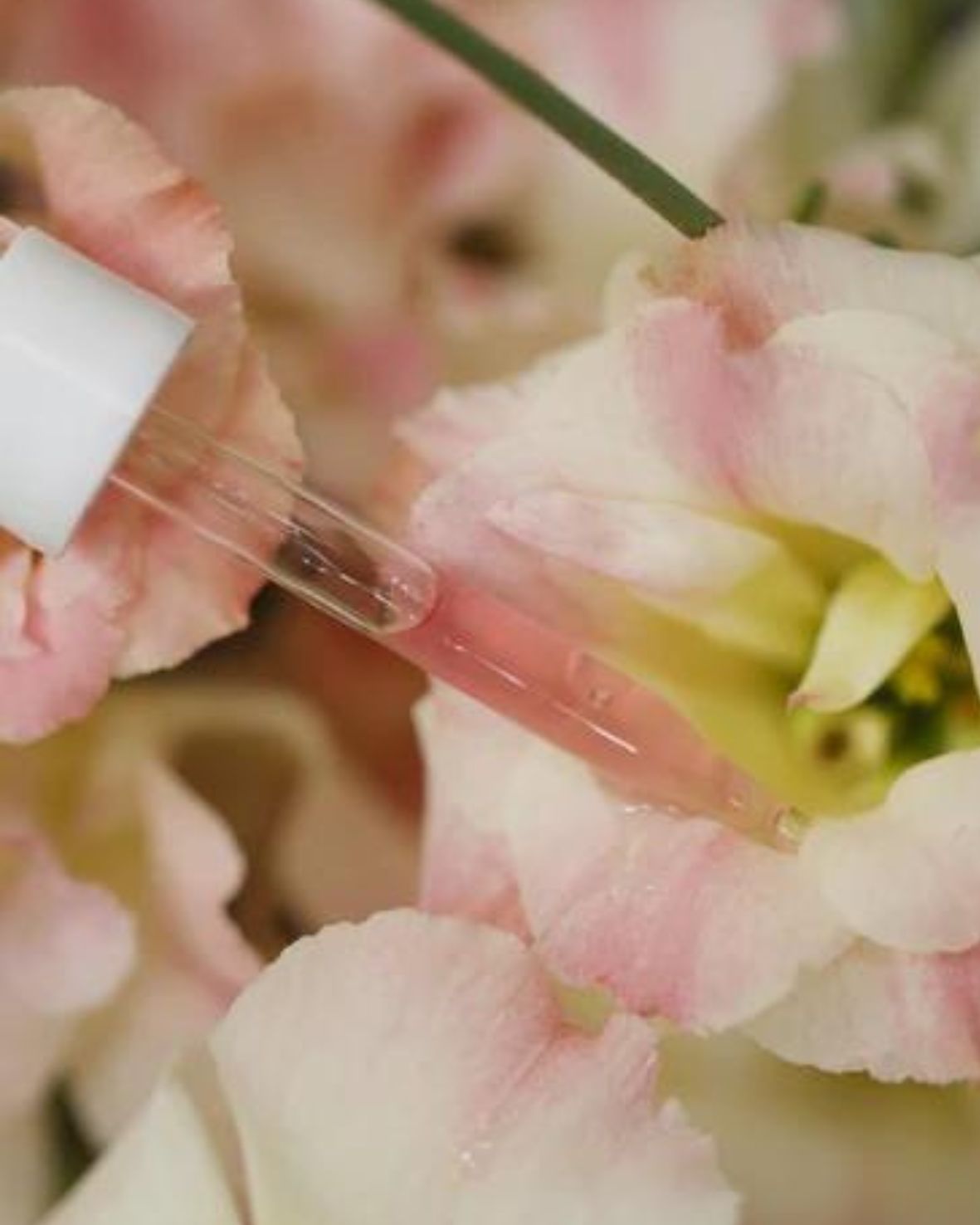 FLOWERS OF RESILIENCE PEPTIDE FIRMING SERUM